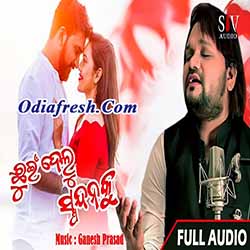 Chhuin Delu Spandana Ku (Humane Sagar) Odia Album Song